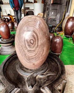 whatsapp image 2025 08 23 at 12.29.37 pm